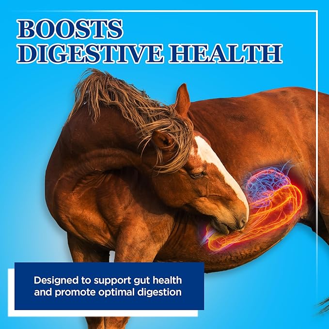 Equerry's Large Animal Probiotic | Supplements for Gut Health and Nutrient Absorption | Probiotics and Digestive enzymes for Horses, Cows, Goats, Sheep, Pigs, 160 Feedings (20lbs) for 1000 lb Animal