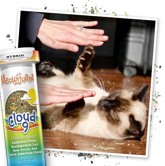 Meowijuana Get a Rise Bundle | Get a Rise Refillable Balloon Toy and Cloud 9 Catnip Blend | Promotes Play and Cat Health | Includes North American Organic Catnip