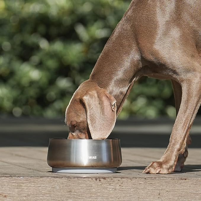 Pawaii Stainless Steel Dog Bowl with Non-Slip Rubber Base & Double Wall Insulation - Durable Design | Includes ID Tag | Dishwasher Safe Food & Water Bowl for All Dogs (68oz)