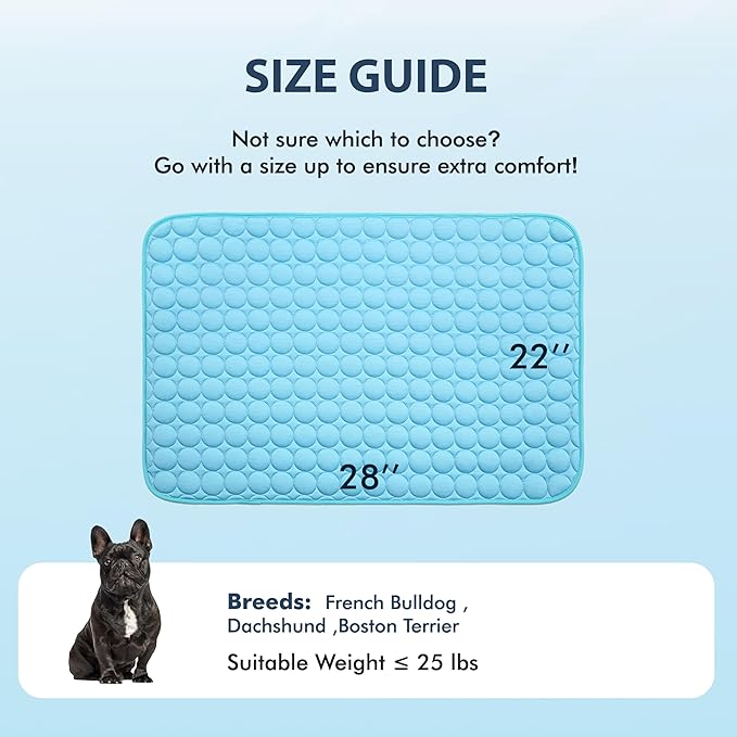 MICROCOSMOS Summer Cooling Mat & Sleeping Pad- Water Absorption Top, Materials Safe, Easy Carry, EZ Clean. Keep Cooling for Pets, Kids and Adults.(Blue, 28" x 22")