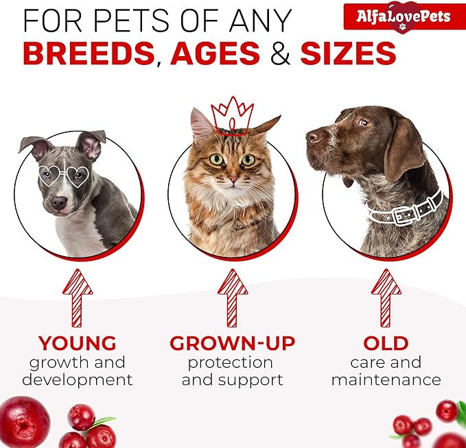 Liquid Multivitamin for Dogs โ Cat Multivitamins for Indoor Cats โ 10-in-1 Liquid Dog Vitamins B Complex, C, D3 โ Digestion, Urination, Hip & Joint, Skin & Coat โ Cranberry Flavor โ 2 Oz