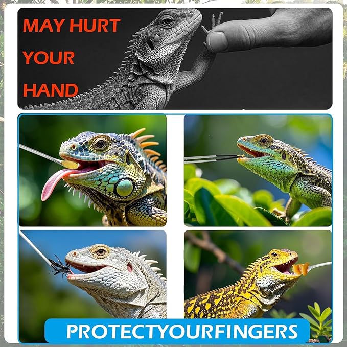 5 Pcs Reptile Feeding Tools Set with Silicone Tips - Extra Long Straight&Curved Tongs, Spoons, Scissors - Stainless Steel Terrarium Feeder Kit for Bearded Dragons, Lizards, Snake, Spiders, Aquarium