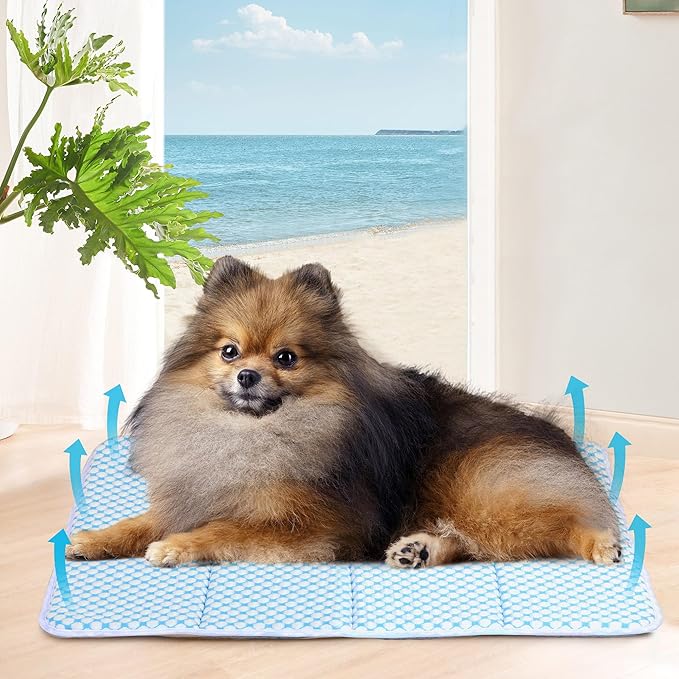 Dog Cooling Mat for Small Dogs - 24x18 Orthopedic Memory Foam Pet Pad for Summer, QMAX>0.5, Washable Premium Comfort Crate Pad for Your Furry Companion, Blue