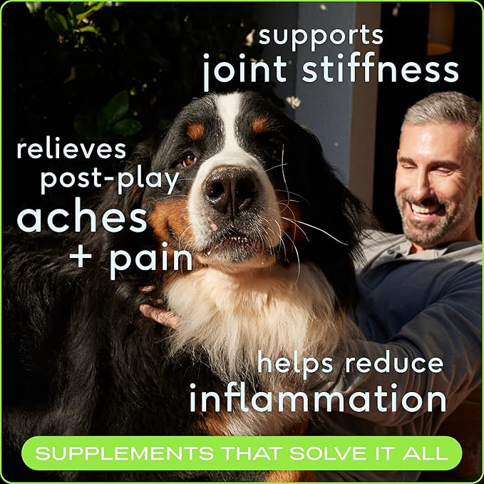 Native Pet Pain Relief for Dogs - Collagen for Dogs Promotes Joint Health, Reduce Inflammation & Stiffness - Senior Pup Joint Supplement - Natural Pain Reliever for Active & Aging Pets - 30 Chews