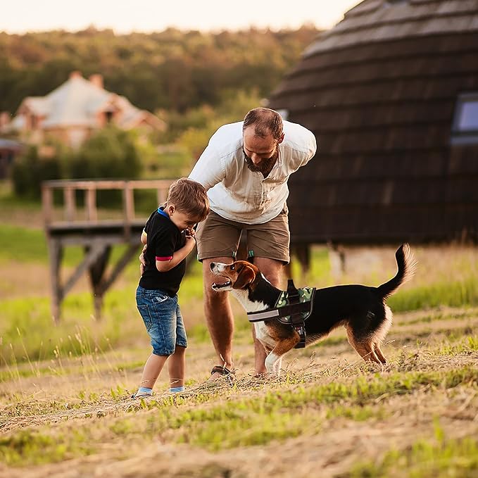 Dogline Dog Harness, Reflective No-Pull Adjustable Vest with Handle for Walking, Training, Breathable, No - Choke Harness for Small, Medium or Large Dogs Room for Patches Girth 15 to 18 in Green Camo