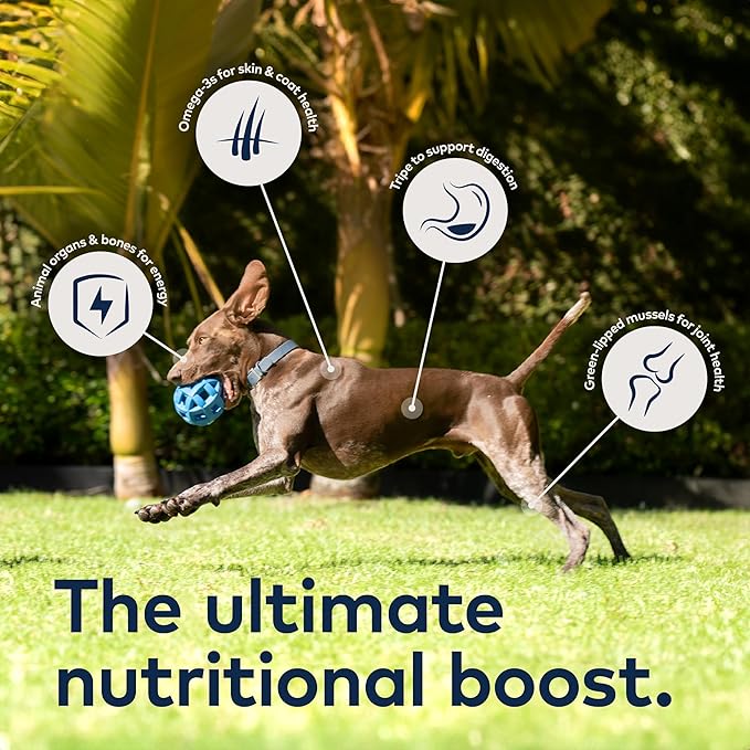 Bundle of ZIWI Peak Air-Dried Dog Food, Trial Size: Beef + Chicken + Lamb - All Natural, High Protein, Grain Free, Limited Ingredient w/Superfoods (3.5oz)