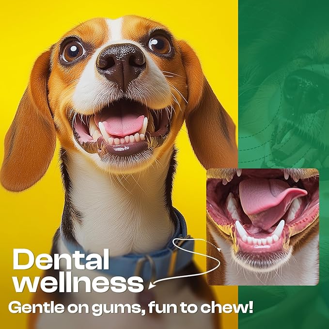 Dog Toys for Aggressive Chewers - Heavy Duty Chew Proof Durable Toy for Large Breed Dogs, Interactive Tough Nylon Bone for Boredom Relief & Mental Stimulation