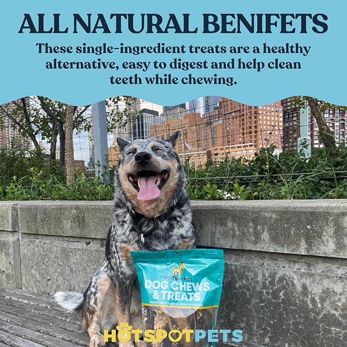 hotspot pets 4-5 Inch Rawhide Dog Chew Bones - Made from Grass Fed Brazilian Cows - Great for Dental & Oral Care -for Medium Chewers (30 Pack)