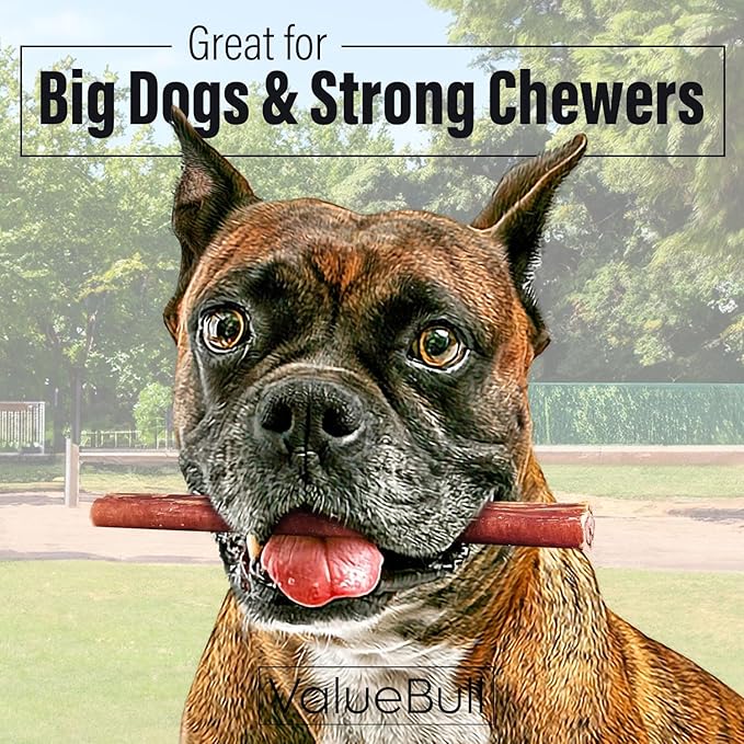ValueBull Bully Sticks for Dogs, Thick 6 Inch, 25 Count - All Natural, Grass Fed, Single Ingredient, Long Lasting Dog Treats