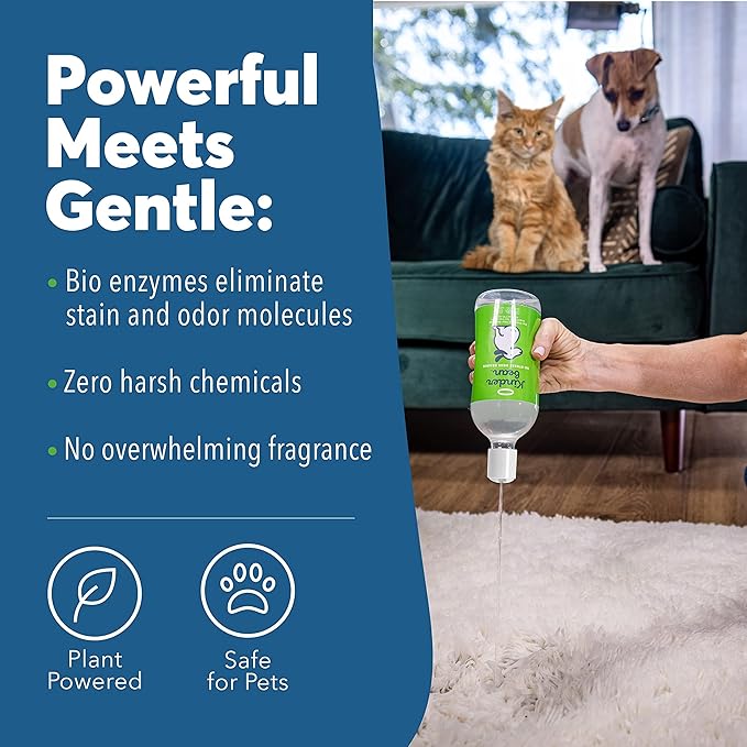 Dog & Cat Urine Stain and Odor Eliminator for Carpet, Upholstery, Hard Floors - 2-Pack 32 oz., Grapefruit & Thyme Scent, Enzyme Bio-Active Formula with Squeeze and Spray Top