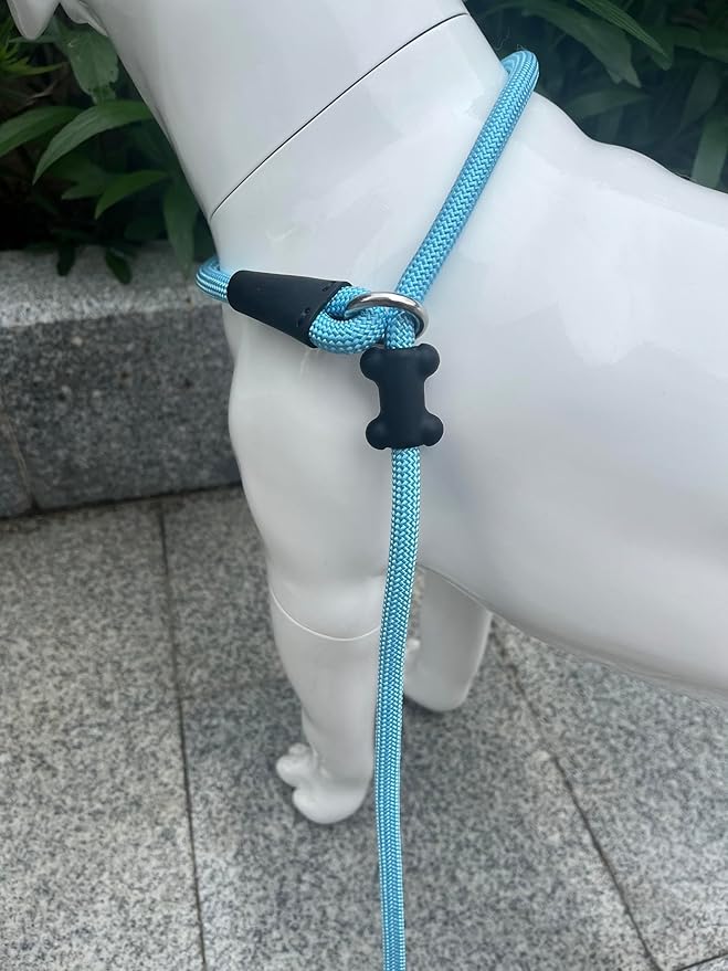 Slip Lead Dog Leash,Strong Nylon Rope Leash and Padded Handle,No Pull Outdoor Walking Training Lead for Small Medium Large Dogs(Light Bule, 1/2"×6ft)