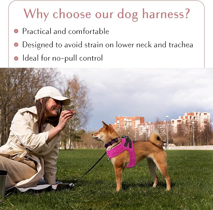 Comfort fit Step-in Dog & Puppy Harness - Comfortable All Weather Dog Vest Harness: Adjustable, Soft Padded, Easy to Put-on for Small, Medium-Sized Dogs.