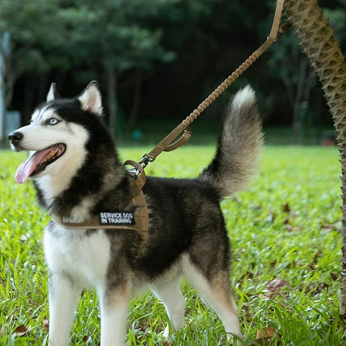 EXCELLENT ELITE SPANKER Tactical Bungee Dog Leash Military Adjustable Dog Leash Quick Release Elastic Leads Rope with 2 Control Handle(Grey