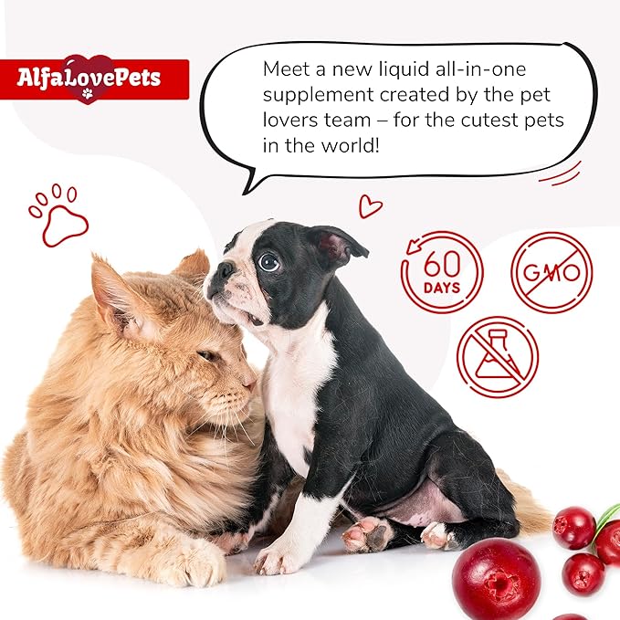 Liquid Multivitamin for Dogs โ Cat Multivitamins for Indoor Cats โ 10-in-1 Liquid Dog Vitamins B Complex, C, D3 โ Digestion, Urination, Hip & Joint, Skin & Coat โ Cranberry Flavor โ 2 Oz