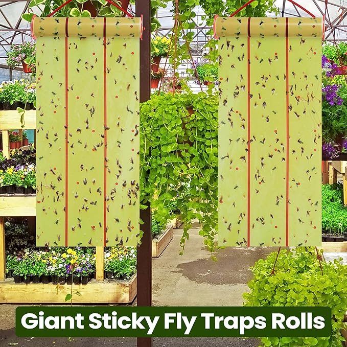 Qualirey Giant Sticky Fly Traps,30 Feet Fly Strips for Indoor Outdoor Hanging Flying Tapes Non Toxic Ribbon Fruit Gnat Killer for Mosquito Plants House Horse Stable (Fluorescent Green,5 Pcs)
