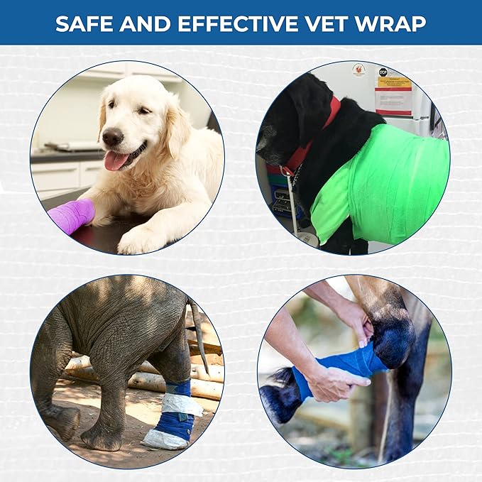 Self Adhesive Bandage Wrap - Pack of 12 Assorted Colors, Non-Woven, Breathable & Water-Resistant Vet Wrap for First Aid, Sports Injury, Body Sprains, & Pets - 4 Inch x 5 Yards