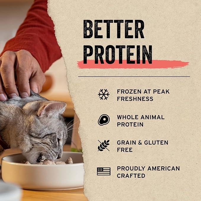 Vital Essentials Minnows Cat Treats, 0.5 oz | Freeze-Dried Raw | Single Ingredient | Grain Free, Gluten Free, Filler Free