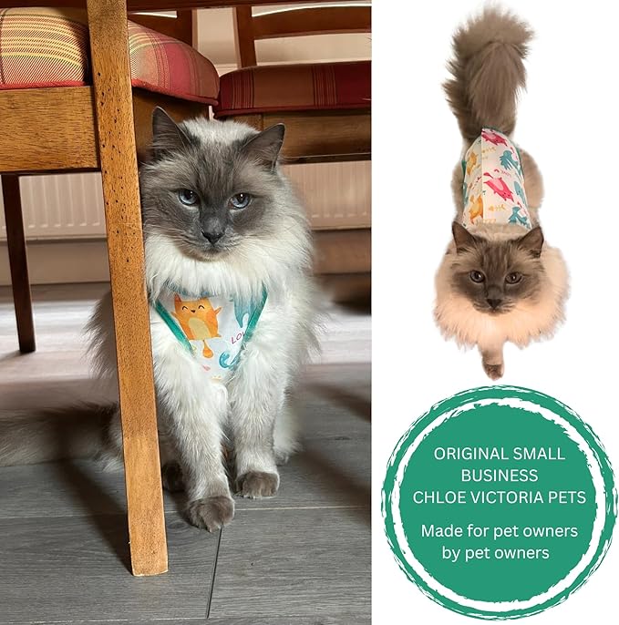 Cat Recovery Suit Surgical Onesie for Post Surgery (Neuter/Spay), Wounds and Skin infections for Male or Female Cats. Comfortable, Safe, (no Loose Cords) Cone Alternative. (Large)