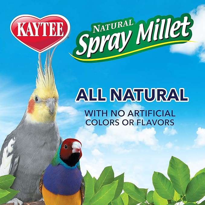 Kaytee Spray Millet Treat for Pet Birds, 3 Ounce