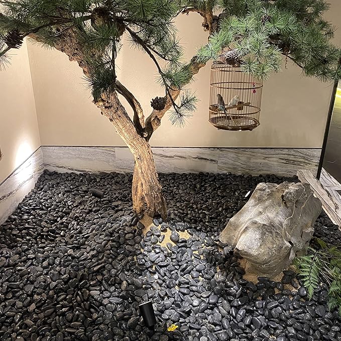 5 lbs Black River Rocks - 2-3 inch Pebbles for Plants, Indoor & Outdoor. Decorative Stones for Planters, Vases, Aquariums & Gardens