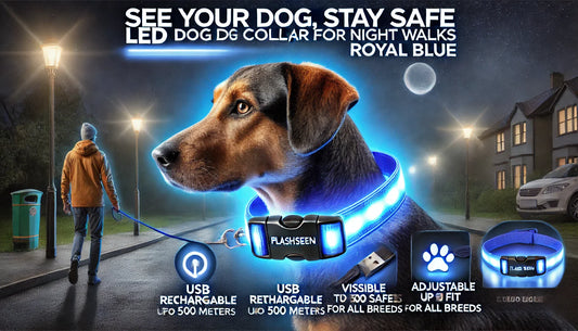 See Your Dog, Stay Safe: Flashseen LED Dog Collar for Night Walks (Royal Blue)