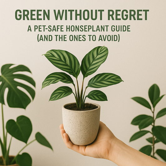 Green Without Regret: A Pet-Safe Houseplant Guide (and the Ones to Avoid)