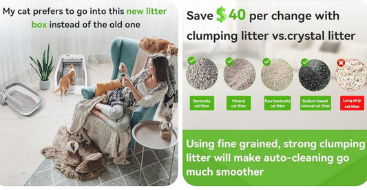 The Silent Sanctuary — Redefining the Cat Litter Experience