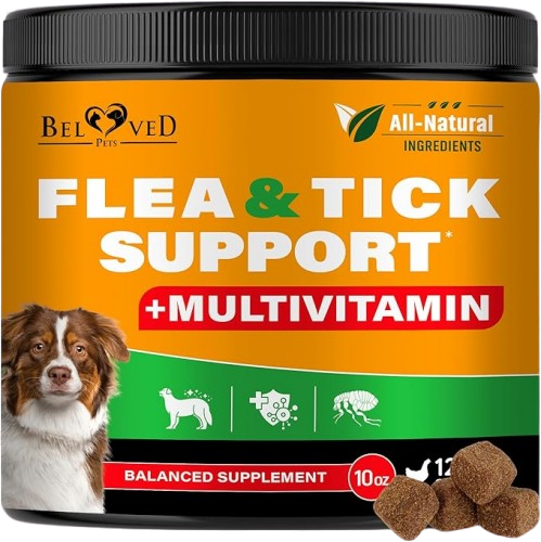 The Best Flea and Tick Prevention for Dogs &amp; Cats in the U.S. (Vet-Recommended)