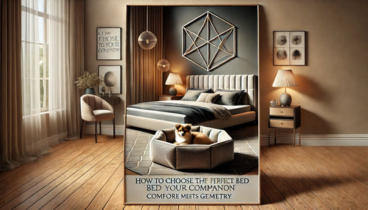 How to Choose the Perfect Bed for Your Companion — Comfort Meets Geometry