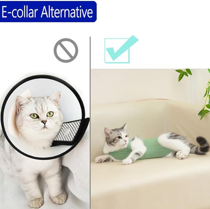 Cat Surgery Recovery Suit Professional for Surgical Abdominal Wound Or Skin Diseases E-Collar Alternative for Cats After Surgery Wear Pajama Suit (Green, Large)
