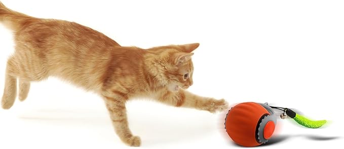 Smart Speedy 3.0 Interactive Cat Ball with Auto Obstacle Avoidance - Indoor Kitten Toy for Mental Stimulation & Playtime Fun ，2025 Edition (Orange)