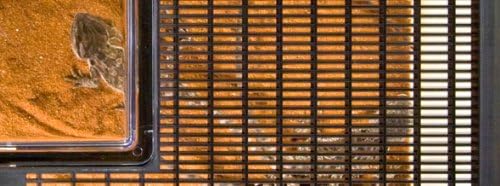 Exo Terra Faunarium, Plastic Reptile Terrarium, Mini, PT2250