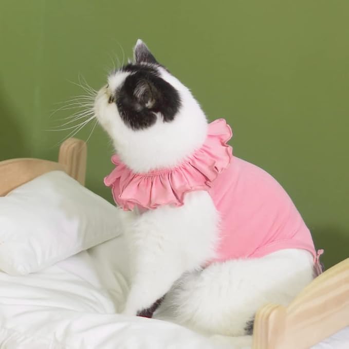 Cat Recovery Suit for Abdominal Wounds and Skin Diseases, Breathable Surgical Recovery Shirt After Surgery Wear Anti Licking Wounds,E-Collar Alternative for Cats Pet Kitten(RSC01-pink-m)