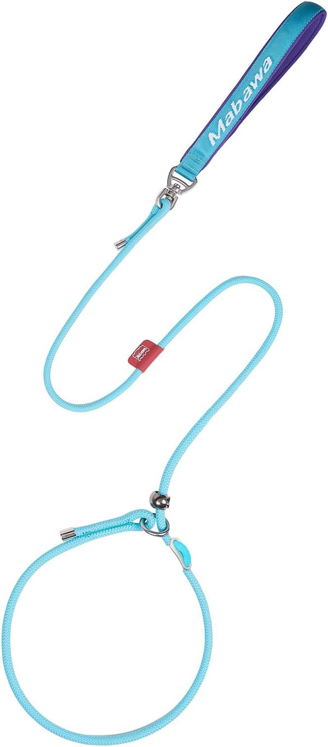 Dog Anti-Slip Leash 5FT with Metal Stopper - Durable No-Pull Training Lead for Small, Medium & Large Dogs - Comfortable Handle Nylon Rope, Tangle-Free Pet Walking Leash (Lake Blue, 5.6FT)