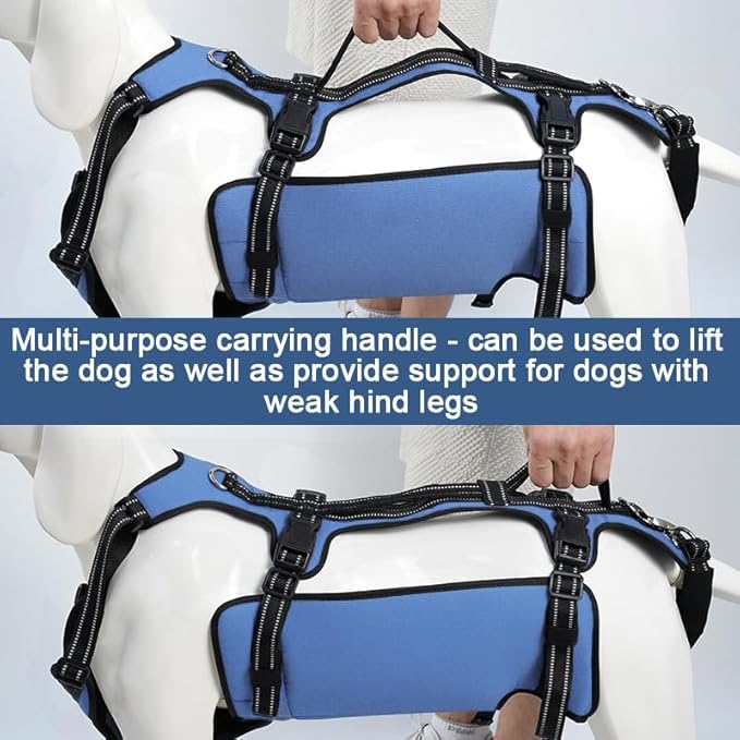 Coodeo Dog Lift Harness, Full Body Support & Recovery Sling, Pet Rehabilitation Lifts Vest for Old Dog with Arthritis Walk(Bule,L)