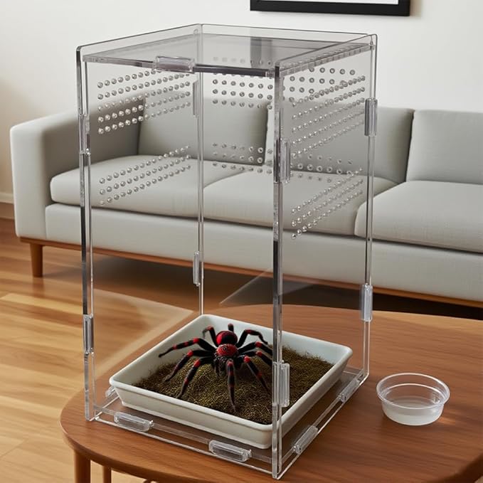 Acrylic Jumping Spider Enclosure,Reptile Enclosure,Bug Habitat, for Small Tree Dwelling Reptiles,Arboreal Tarantula Enclosure, Spider Terrarium Kit,Plastic Terrarium(4.7" X 4.7" X 8")