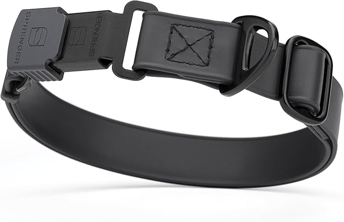 Dogline Biothane Waterproof Dog Collar with Herm Sprenger Stainless Steel Quick Release Buckle – Heavy Duty Tactical Durable Collar for Dogs – Comfortable and Safe Pet Collar, W 3/4" L 12-19", Black