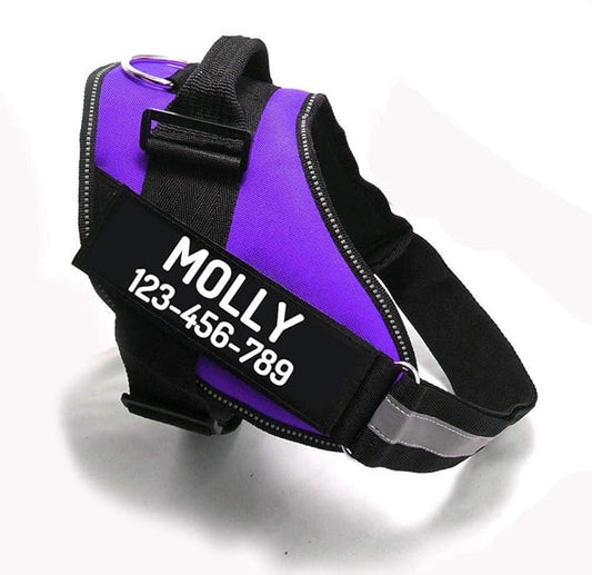 PawPawify Custom No Pull Dog Harness with Name and Phone Number, Heavy Duty Personalized Pet Vest to Prevent Tugging, Pulling, or Choking, Training and Walking (Purple, XL (60-85 LBS))