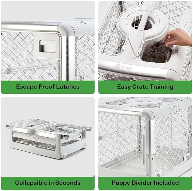 DIGGS Revol Collapsible Dog Crate with Wheels - Premium Portable Dog Crate - Safe, Stylish, and Convenient Indoor Kennel (Ash, Small)