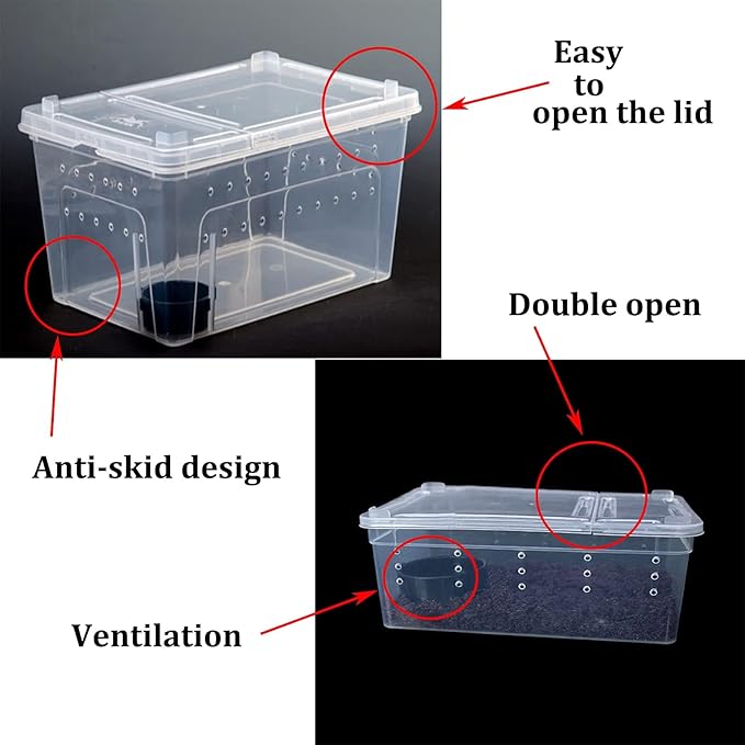 Critter Keeper 2-Pack, Cricket Cage & Reptile Feeding Box 12.59"x8.66"x5.9" Transparent Portable Plastic Snake Habitat Escape-Proof Ventilated Design for Gecko, Tarantula, Scorpion, Spider, Frog