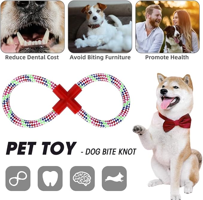 Dog Stairs&Steps for High Beds Up to 28'', 5-Step Dog Ramp for Small Medium Dogs with Washable Cover, Pet Steps for Cats to Get on Couch and Sofa, Durable Foam Ladders, 24.4" Tall, Black