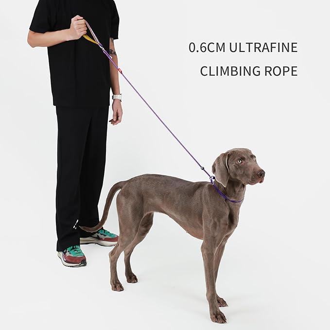 Dog Anti-Slip Leash 5FT with Metal Stopper - Durable No-Pull Training Lead for Small, Medium & Large Dogs - Comfortable Handle Nylon Rope, Tangle-Free Pet Walking Leash (Purple, 5 FT)