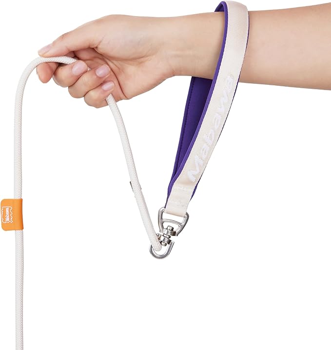 Dog Anti-Slip Leash 5FT with Metal Stopper - Durable No-Pull Training Lead for Small, Medium & Large Dogs - Comfortable Handle Nylon Rope, Tangle-Free Pet Walking Leash (Beige, 5.6FT)