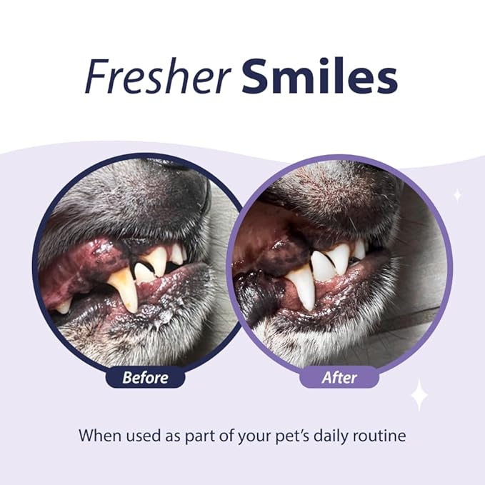 Dental Fresh Advanced Plaque and Tartar Water Additive, 32oz – Dog Teeth Cleaning Formula to Freshen Breath and Improve Cat & Dog Dental Care