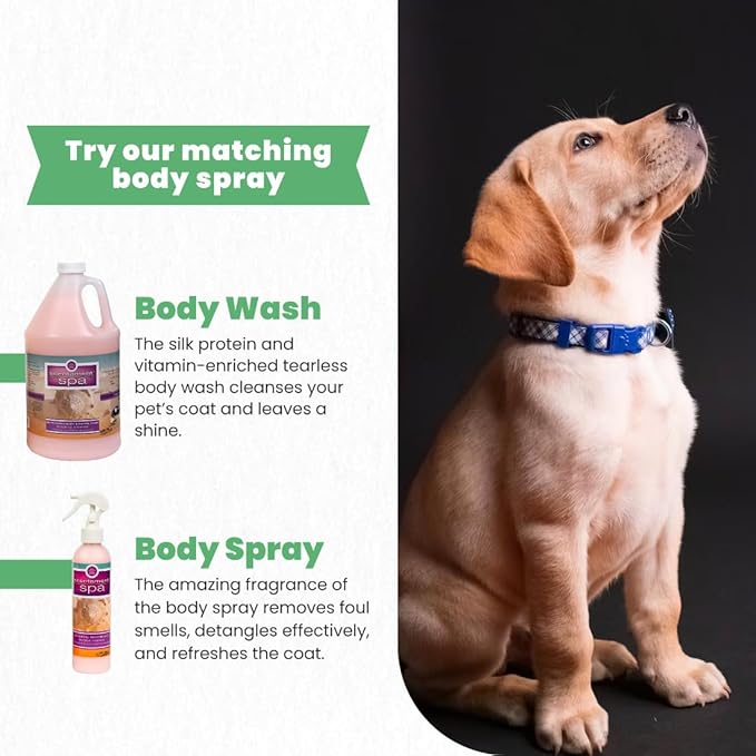 Best Shot Scentament Spa Tropical Breeze Seasonal Facial & Body Wash, 1 Gallon