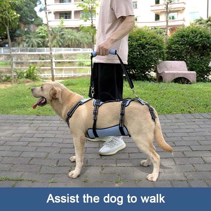 Coodeo Dog Lift Harness, Full Body Support & Recovery Sling, Pet Rehabilitation Lifts Vest for Old Dog with Arthritis Walk(Bule,L)