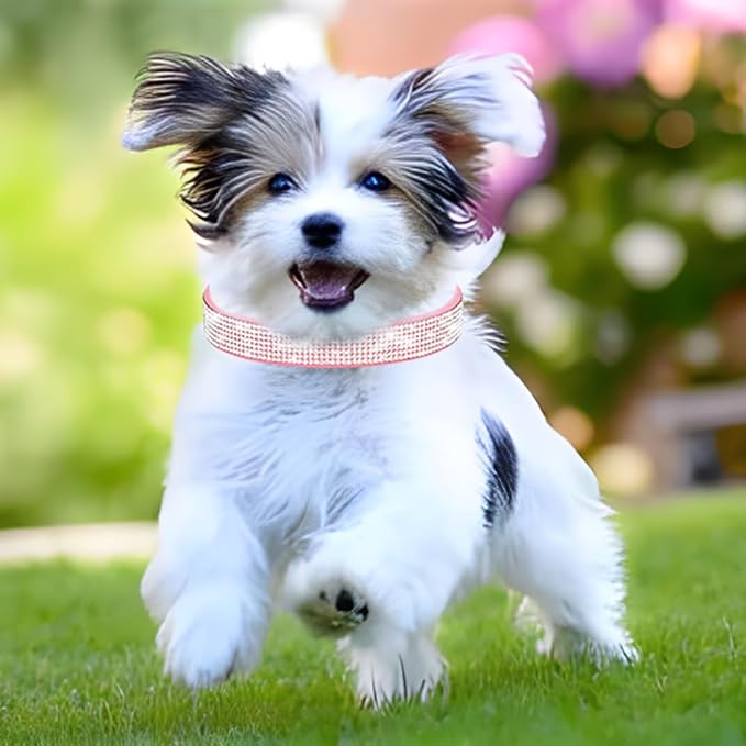 Rhinestone Dog Collar for Small Dogs, Bling Diamond Fancy Crystal Glitter Pretty Jewel Pet Puppy Collars for XXS XS Small Medium Large Breed Girl Dogs Female Cats Kitten, Blue XXSmall