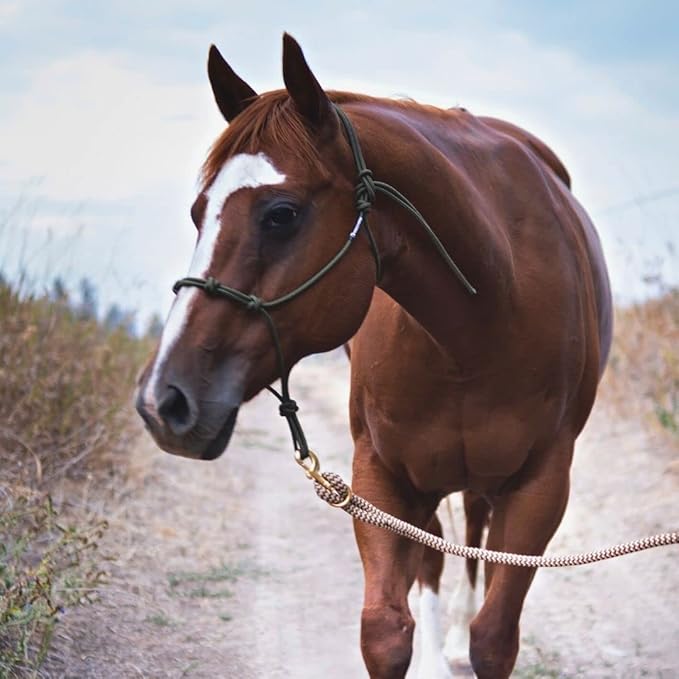 Double Braid Polyester Yacht Horse Lead Rope with Loop 12ft. or 14ft. Lengths (Brown, 14 ft. No Snap)