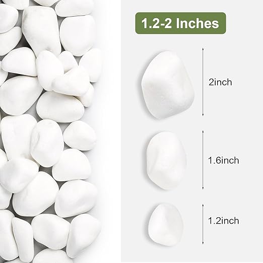 SIDONG 10 lbs White River Rocks, 1.2-2 Inches Matte Pebbles for Indoor Plants, Aquarium Rocks Used in Fish Tank, Decorative Stones for Plants, Vases, Home Décor, Crafting, Garden Landscaping