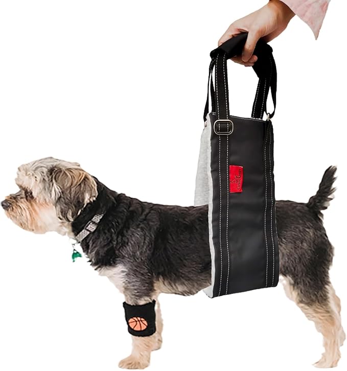 Dog Lift Harness - Adjustable Sling for Rear Legs with Soft Support for Senior, Injured, Disabled Dogs After ACL Surgery - Helping Pets with Canine Aid and Rehab Support (M)